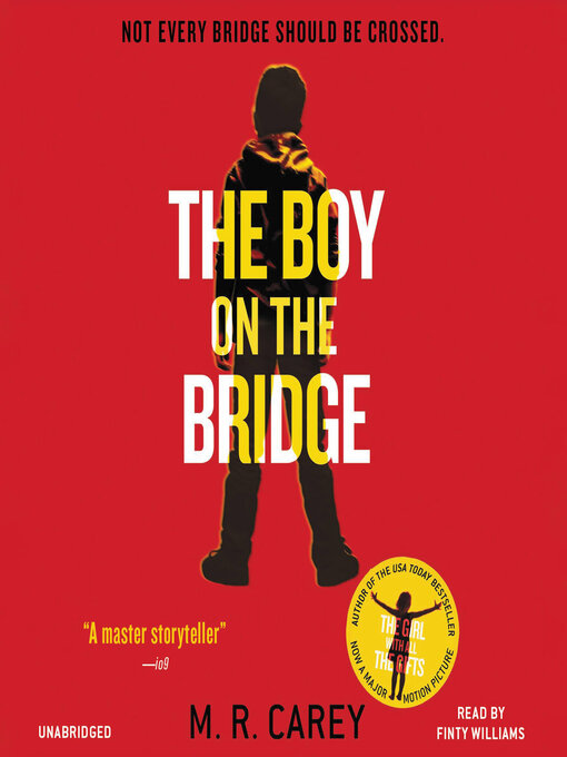 Cover image for The Boy on the Bridge